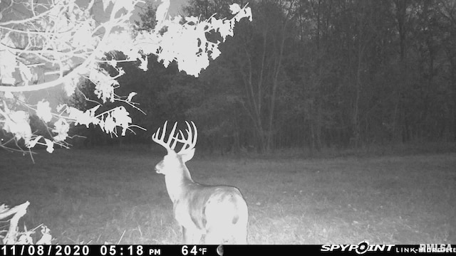 TBD Rome Rd, West Frankfort, IL 62896