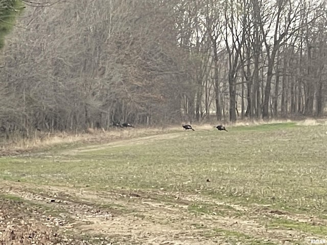 TBD Rome Rd, West Frankfort, IL 62896