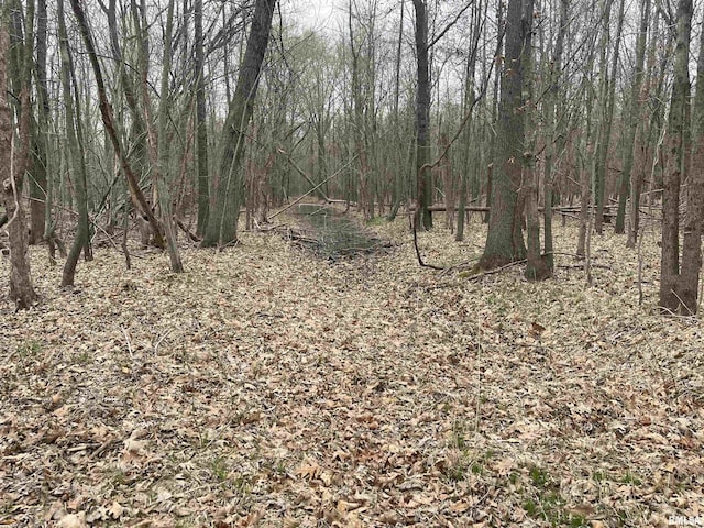 TBD Rome Rd, West Frankfort, IL 62896