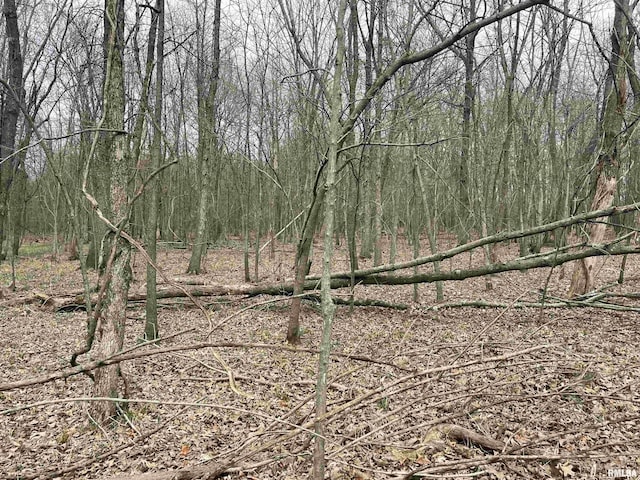 TBD Rome Rd, West Frankfort, IL 62896