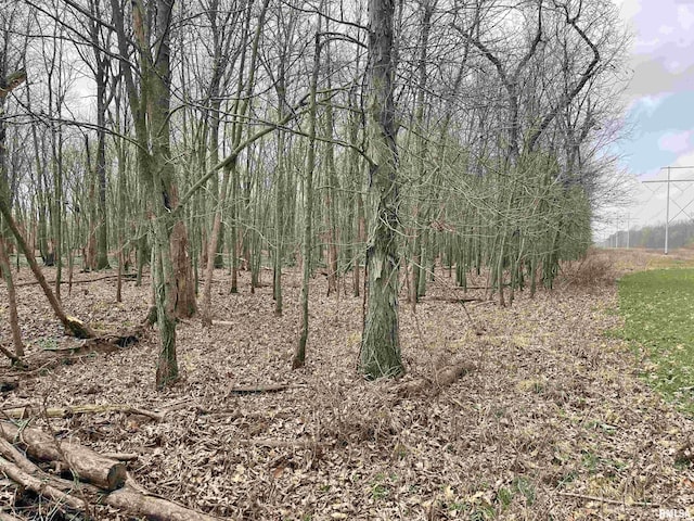 TBD Rome Rd, West Frankfort, IL 62896