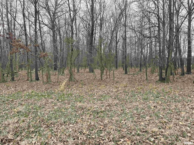 TBD Rome Rd, West Frankfort, IL 62896
