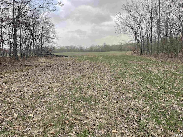 TBD Rome Rd, West Frankfort, IL 62896