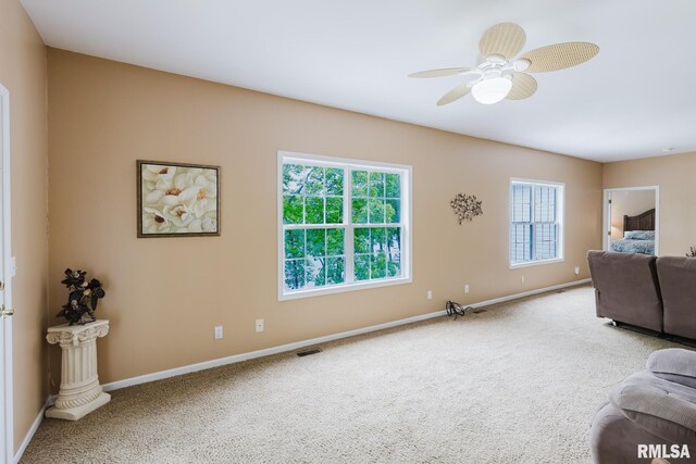 55 Kings Ct, Goreville, IL 62939 - photo 20