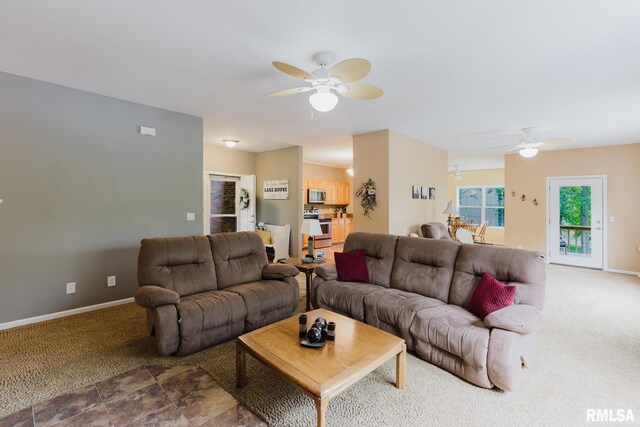55 Kings Ct, Goreville, IL 62939 - photo 25