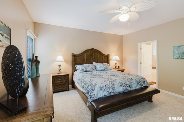 55 Kings Ct, Goreville, IL 62939 - photo 28