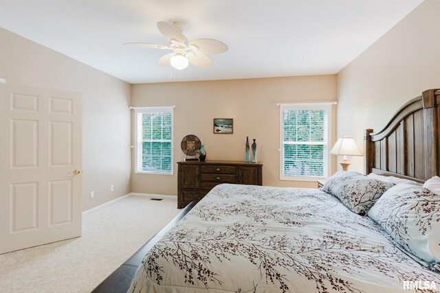 55 Kings Ct, Goreville, IL 62939 - photo 29