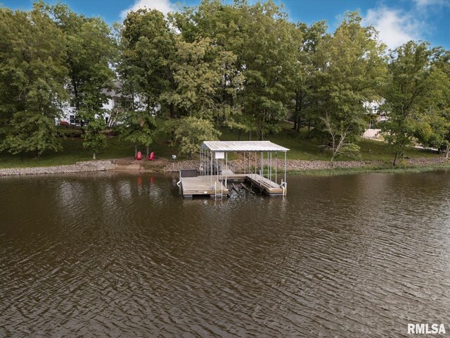 55 Kings Ct, Goreville, IL 62939 - photo 59
