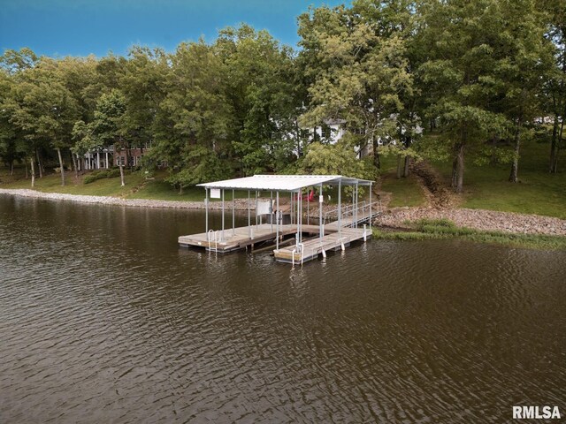 55 Kings Ct, Goreville, IL 62939 - photo 60
