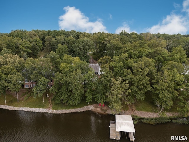 55 Kings Ct, Goreville, IL 62939 - photo 67