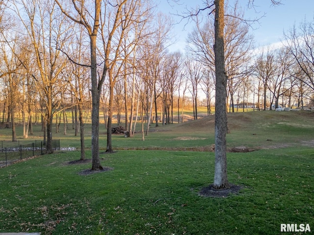 view of yard