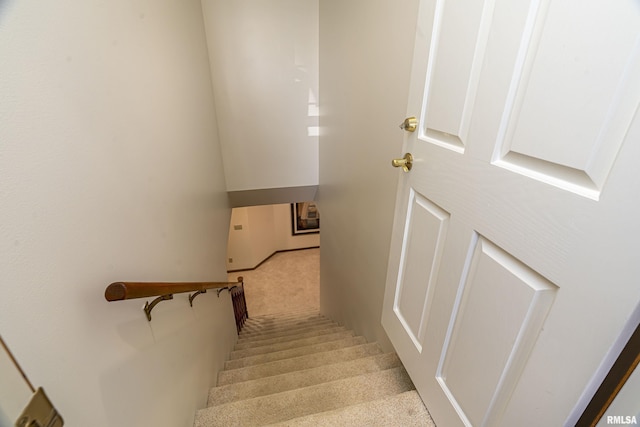 stairs with carpet floors