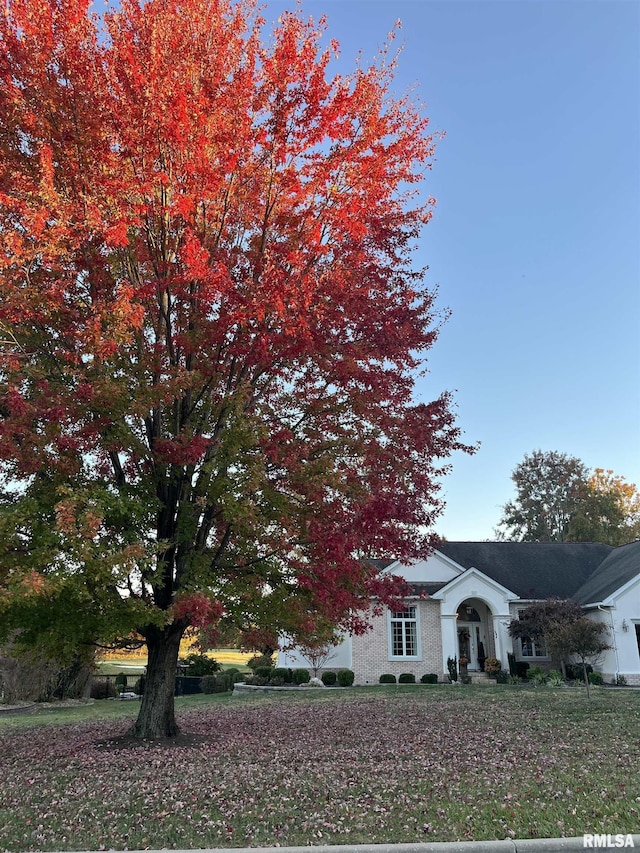 view of property hidden behind natural elements with a front yard