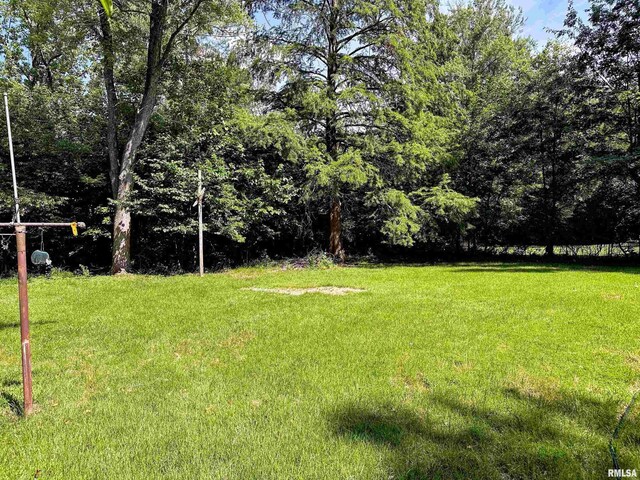 607 S Skyline Dr, Carbondale, IL 62901 - photo 24
