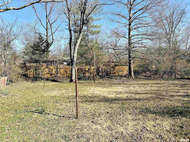 607 S Skyline Dr, Carbondale, IL 62901 - view of yard