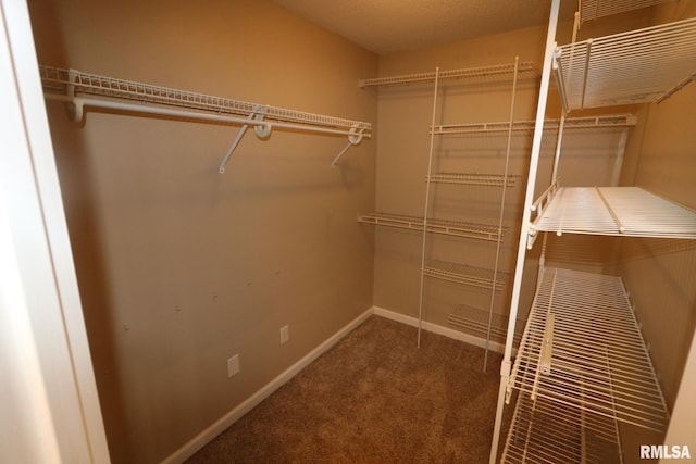 914 Valley Dr, Carterville, IL 62918 - spacious closet with carpet floors