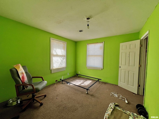 422 N Brush St, Carbondale, IL 62901 - photo 22