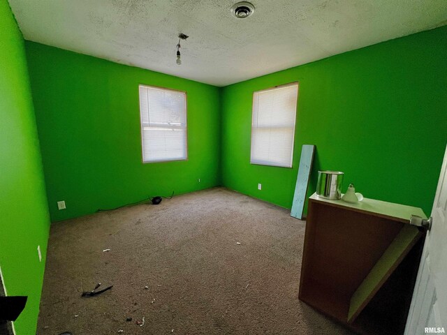 422 N Brush St, Carbondale, IL 62901 - photo 27