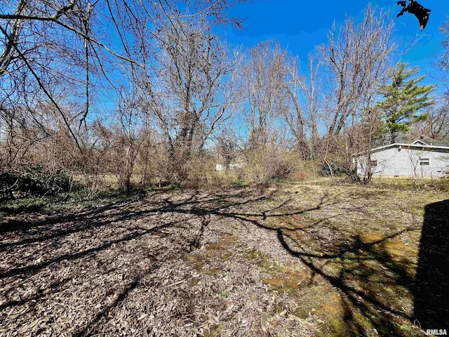 422 N Brush St, Carbondale, IL 62901 - photo 5