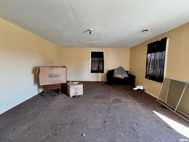 422 N Brush St, Carbondale, IL 62901 - photo 9