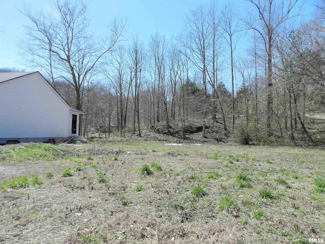 991 US Highway 34, Herod, IL 62947 - view of yard