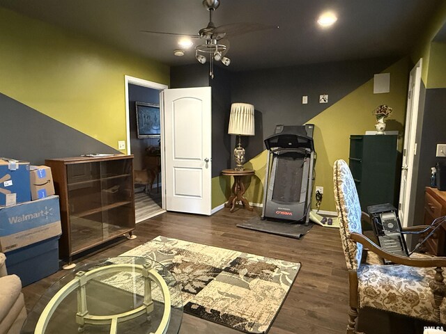 6180 Reevesville Rd, Grantsburg, IL 62943 - exercise room with ceiling fan, wood finished floors, and baseboards