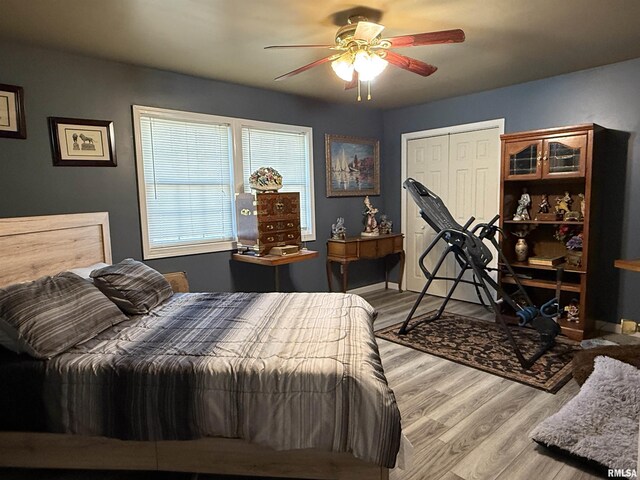 6180 Reevesville Rd, Grantsburg, IL 62943 - bedroom featuring wood finished floors, a ceiling fan, and a closet