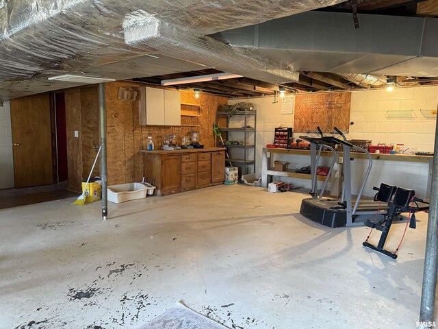 6180 Reevesville Rd, Grantsburg, IL 62943 - basement with a workshop area