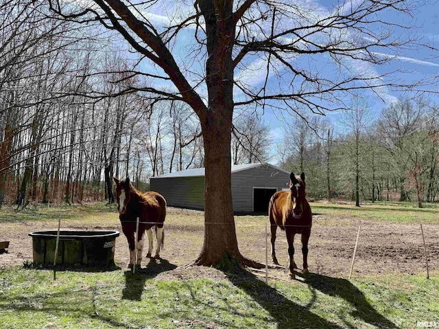 6180 Reevesville Rd, Grantsburg, IL 62943 - view of yard featuring an outdoor structure, an outbuilding, and a detached garage
