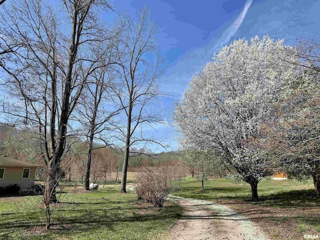 6180 Reevesville Rd, Grantsburg, IL 62943 - view of dirt / gravel road