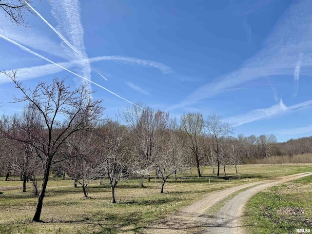 6180 Reevesville Rd, Grantsburg, IL 62943 - view of street with a view of rural / pastoral area
