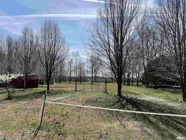 6180 Reevesville Rd, Grantsburg, IL 62943 - view of yard