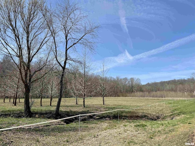 6180 Reevesville Rd, Grantsburg, IL 62943 - view of yard with a wooded view