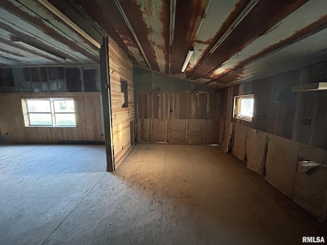 6180 Reevesville Rd, Grantsburg, IL 62943 - basement featuring plenty of natural light and wooden walls