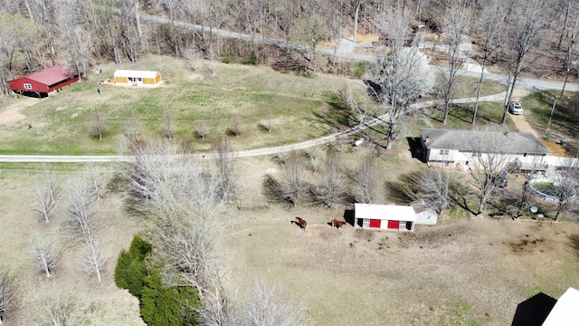 6180 Reevesville Rd, Grantsburg, IL 62943 - overview of rural landscape