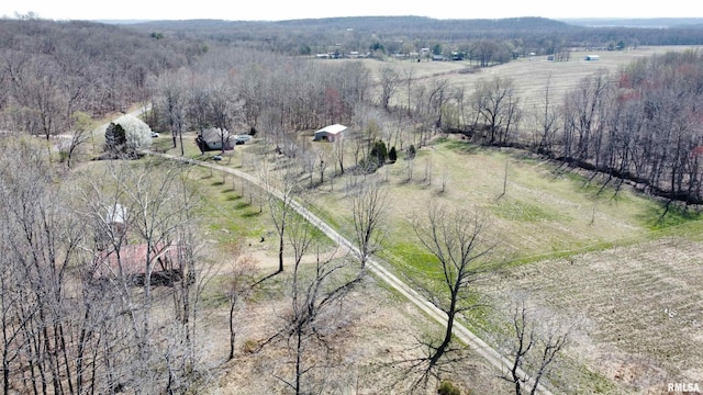 6180 Reevesville Rd, Grantsburg, IL 62943 - aerial view of sparsely populated area with a forest