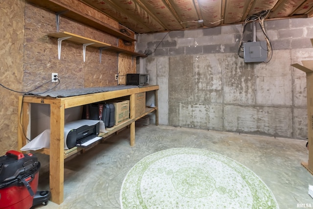 320 Nelson Ln, Grantsburg, IL 62943 - view of unfinished basement