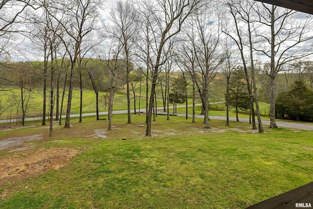 320 Nelson Ln, Grantsburg, IL 62943 - surrounding community with a lawn