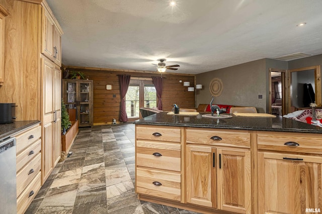 320 Nelson Ln, Grantsburg, IL 62943 - kitchen featuring stone finish floor, light brown cabinetry, dark stone counters, dishwasher, and a ceiling fan