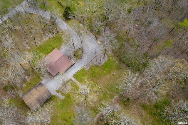 320 Nelson Ln, Grantsburg, IL 62943 - birds eye view of property