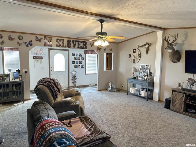 1219 Buchanan Rd, Iuka, IL 62849 - photo 19