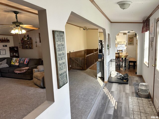 1219 Buchanan Rd, Iuka, IL 62849 - photo 20
