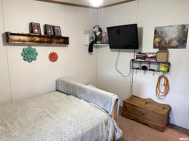 1219 Buchanan Rd, Iuka, IL 62849 - photo 34