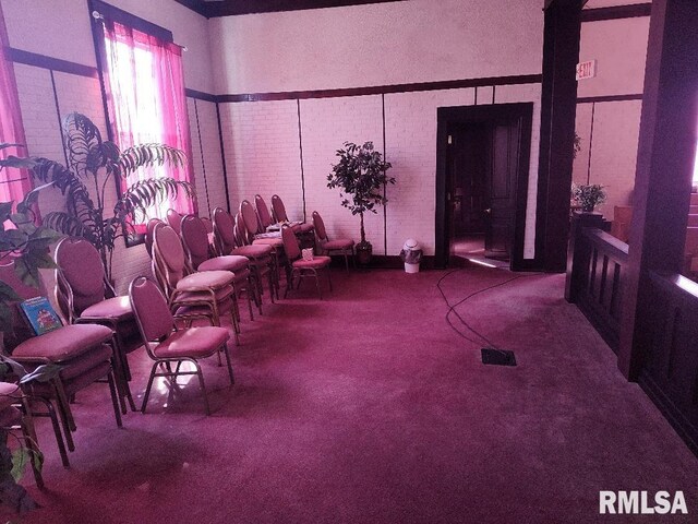 miscellaneous room with carpet floors