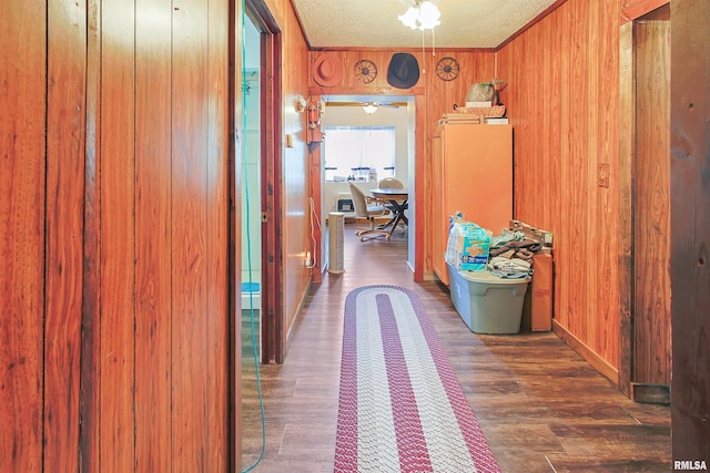 125 Central Hill Rd, Grantsburg, IL 62943 - hall featuring wood walls, a textured ceiling, and wood finished floors