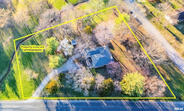drone / aerial view