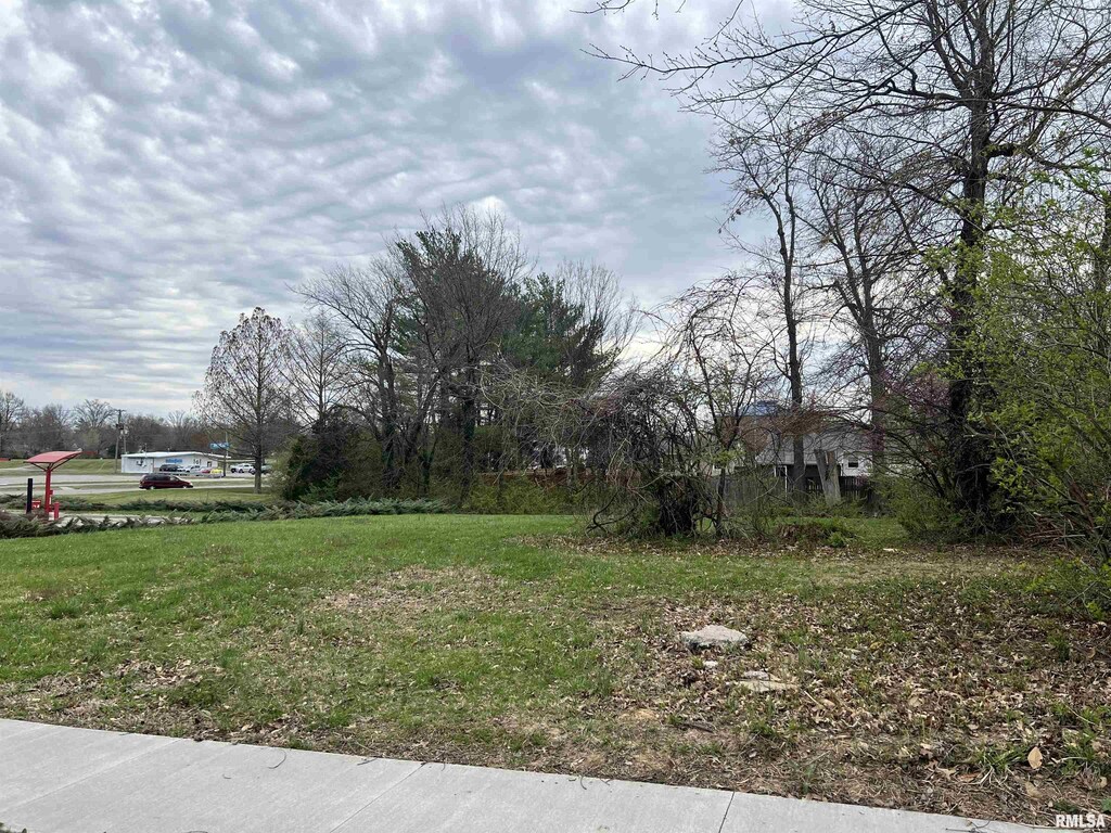 00 S Orchard Dr, Carbondale, IL 62901 - photo 3