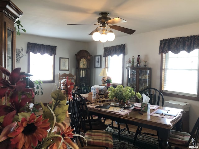 dining room with a ceiling fan and a healthy amount of sunlight