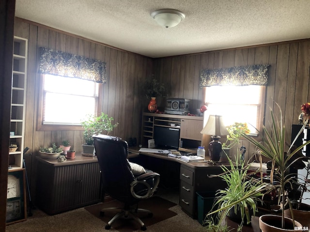 office area featuring wood walls, carpet, and a textured ceiling