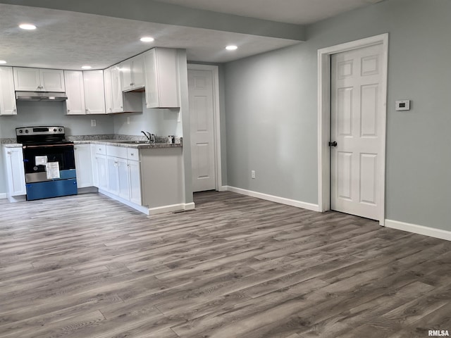 421 N 18th St, Herrin, IL 62948 - kitchen featuring a sink, wood finished floors, under cabinet range hood, stainless steel electric stove, and recessed lighting
